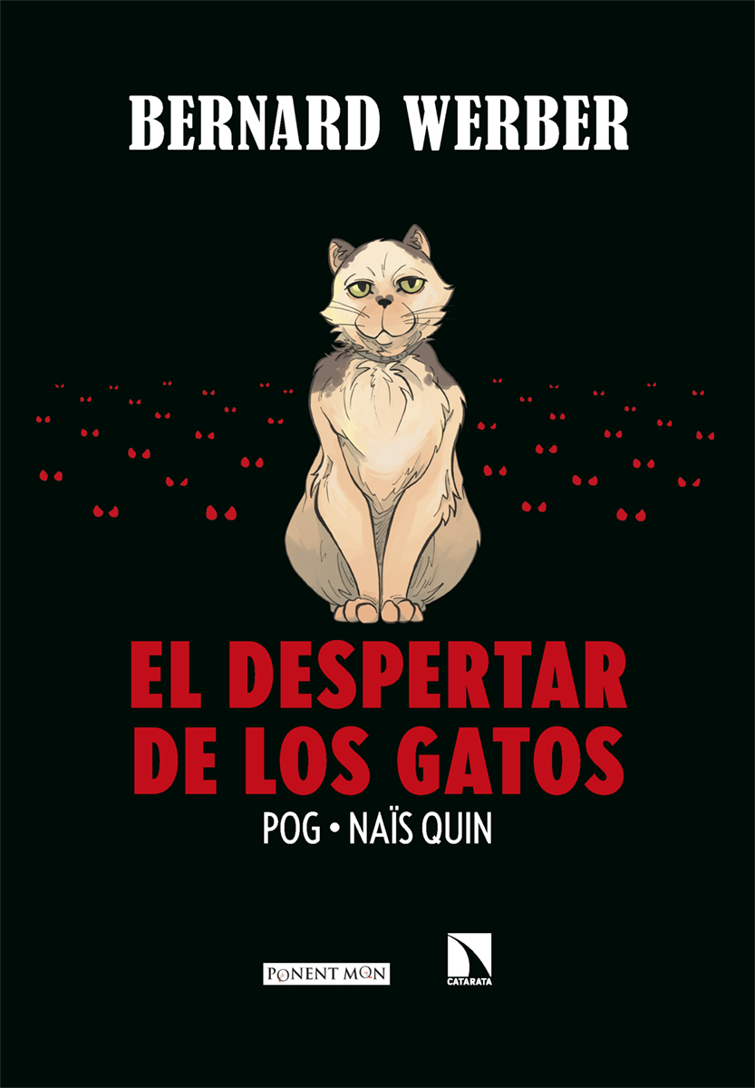 El despertar de los gatos